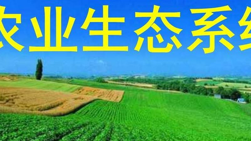 南方拱棚防台风加固：关键步骤与注意事项