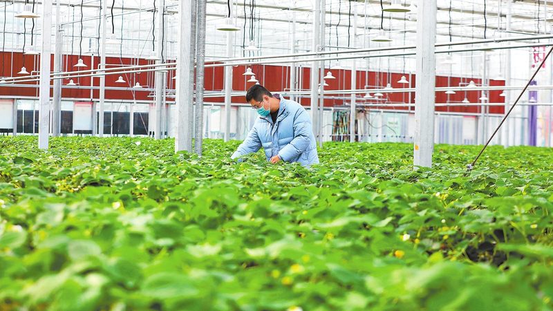 农业种植机械：价格之外，你还需要了解这些
