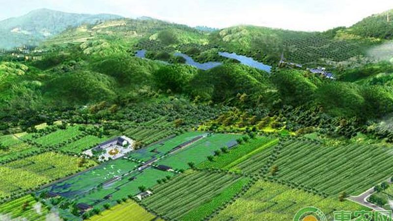 从化家庭农场，如何挑选绿色种植的优质选择**