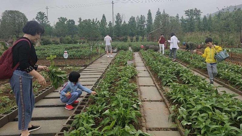 农民专业合作社注册取证全流程解析