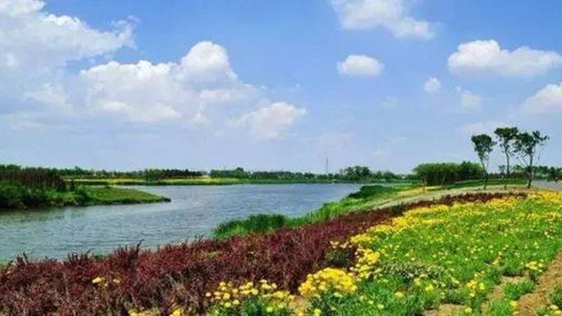 休闲农业观光园建设，如何打造绿色生态新地标？**