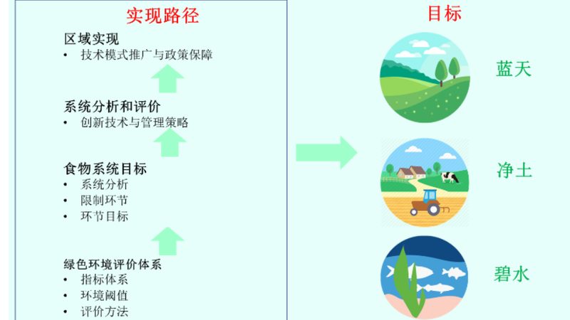 蔬菜种植加盟：揭秘加盟条件与费用那些事儿**