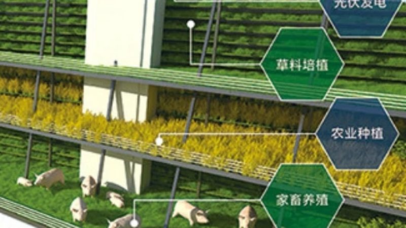 绿色食品认证编号揭秘：如何轻松查证