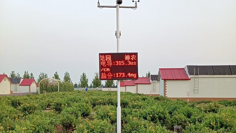 钢管大棚每亩造价解析：成本构成与选择要点**