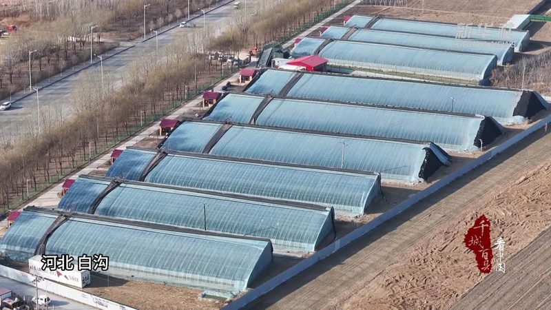 生态之旅：如何挑选合适的广东生态农业观光园**