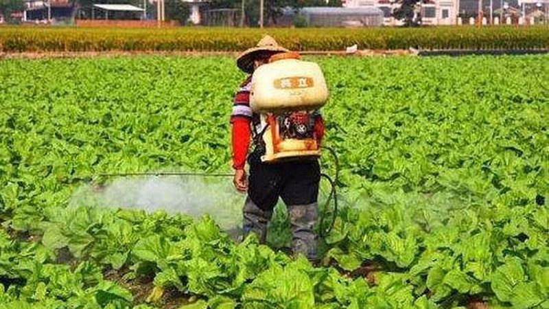 果蔬配送合同范本：构建稳定供应链的关键要素