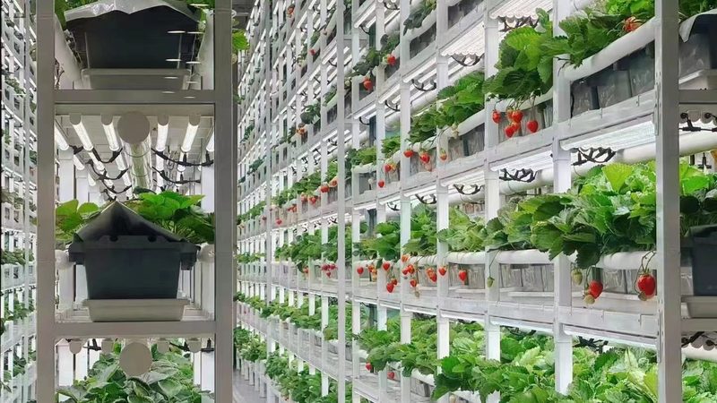 生鲜配送承包合同签订流程全解析