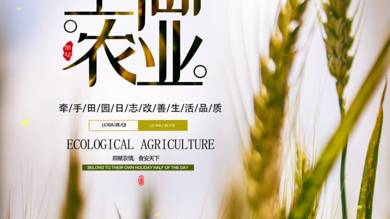 农机合作社农机入股分配方案：合理配置，共创双赢